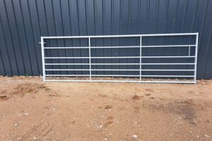 20230723_093551_resized