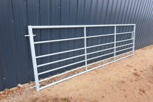 20230723_093557_resized